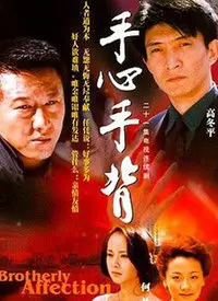 《手心手背》影评：亲情羁绊与道德困境，爱与责任的抉择难题