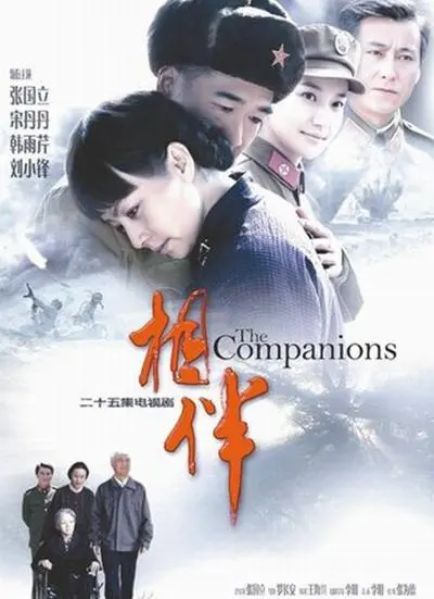 《相伴》：一部触动灵魂的温情之作，关于爱与守护的感人故事