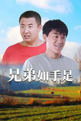 《兄弟如手足》：血浓于水的羁绊，时代洪流下的真挚情谊与抉择