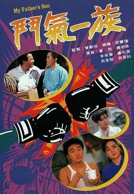 《斗气一族》：家庭恩怨与平凡爱情的交织，揭示普通人生活的酸甜苦辣